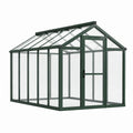 Structure en aluminium vert foncé avec panneaux transparents, toit à deux pentes et porte battante, 250 × 190 × 195 cm